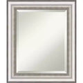 21" x 25" Salon Framed Wall Mirror Silver - Amanti Art: Modern Beveled, No Assembly Required