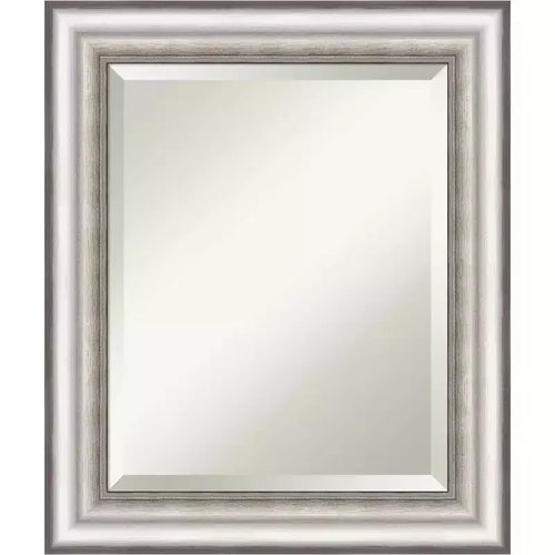 21" x 25" Salon Framed Wall Mirror Silver - Amanti Art: Modern Beveled, No Assembly Required