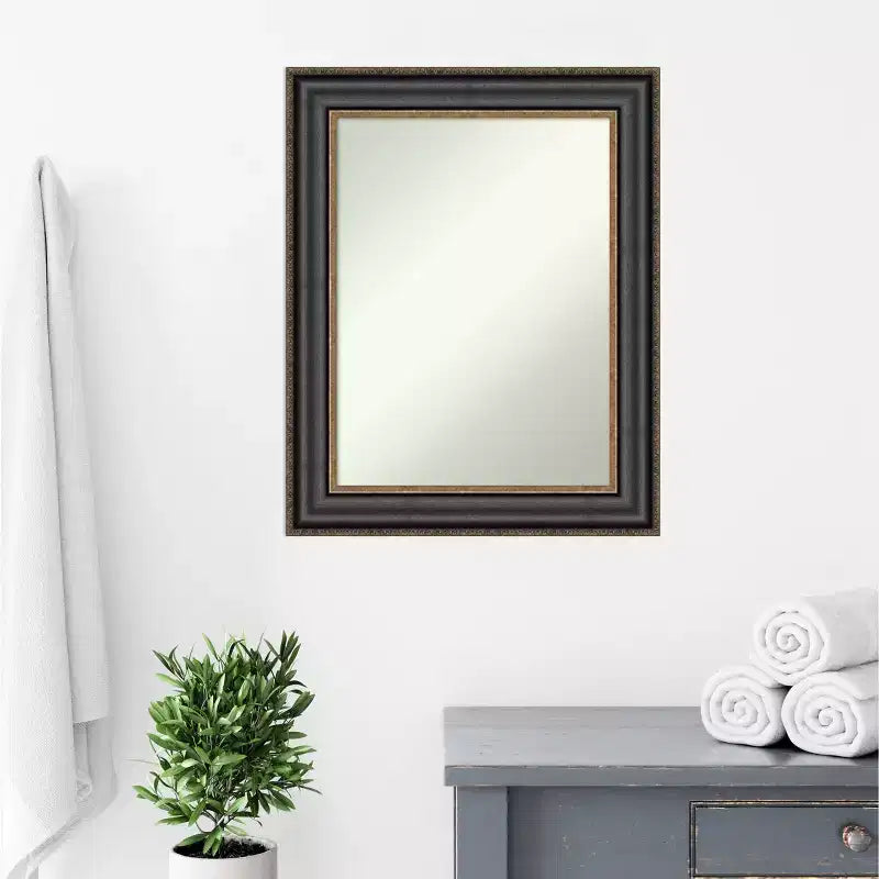 Miroir mural de salle de bain Thomas noir bronze 24" x 30" non biseauté - Amanti Art : cadre en polystyrène, quincaillerie de montage incluse