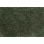 Pouf en forme de dinosaure pour enfants - Pillowfort™