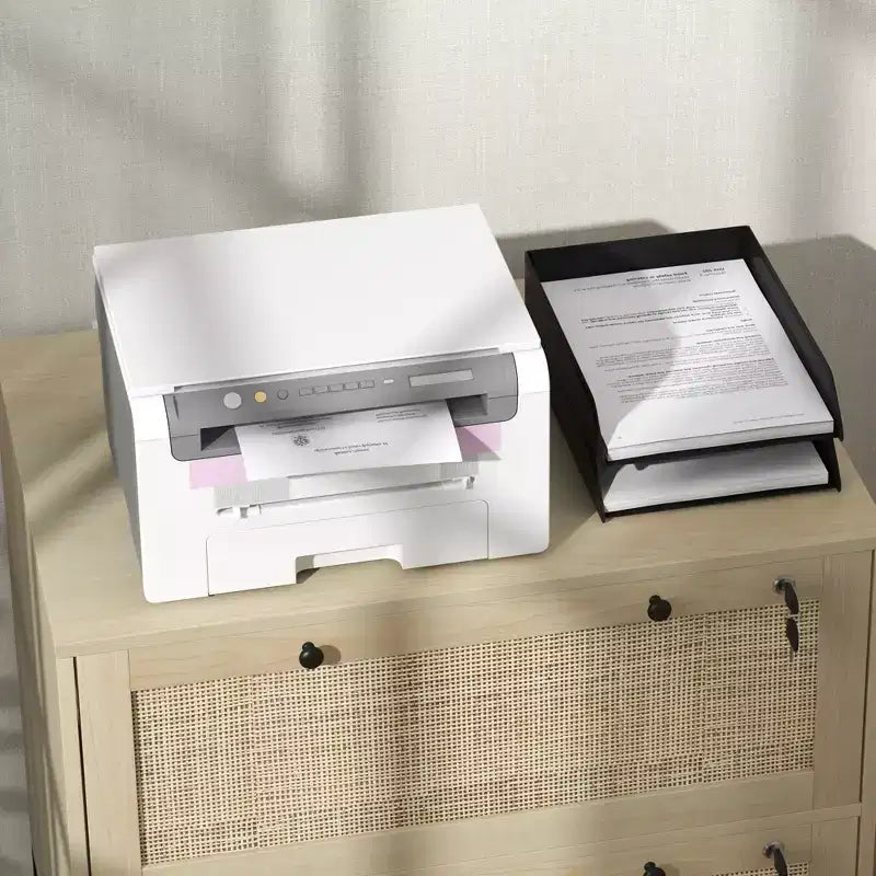 Vinsetto Meuble de Classement à 2 Tiroirs avec Serrure, Armoire de Classement Verticale avec Clés et Barre Suspendue Réglable pour Documents de Formats Lettre, A4 et Légal