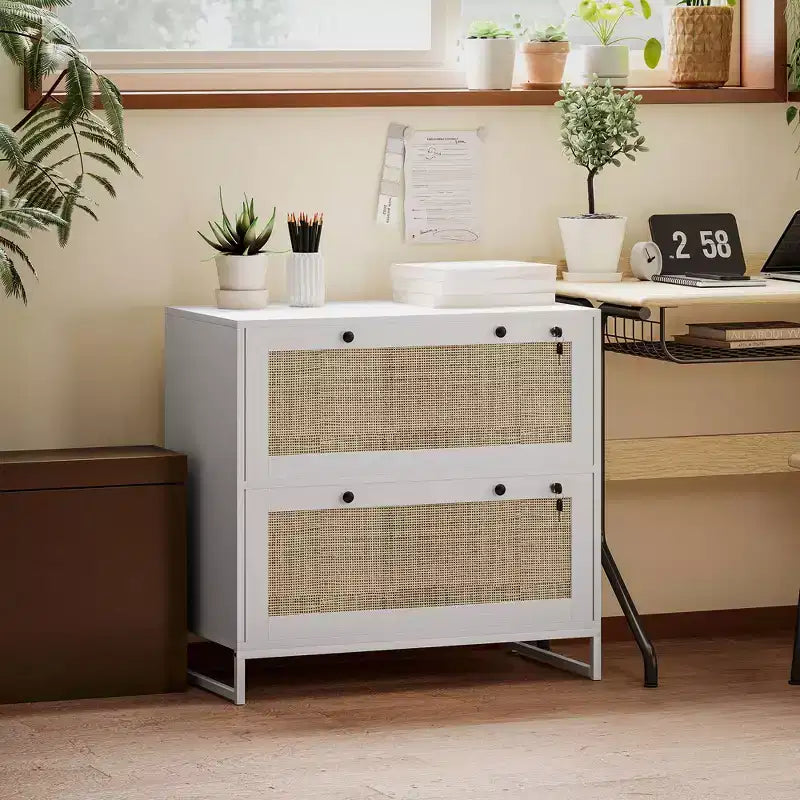 Vinsetto Meuble de Classement à 2 Tiroirs avec Serrure, Armoire de Classement Verticale avec Clés et Barre Suspendue Réglable pour Documents de Formats Lettre, A4 et Légal