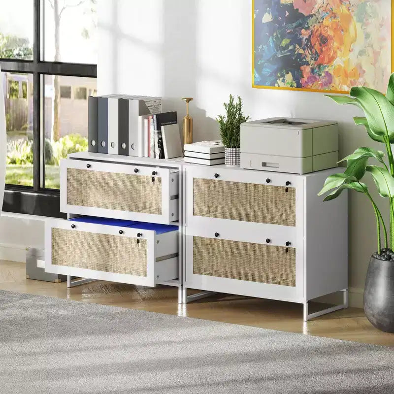 Vinsetto Meuble de Classement à 2 Tiroirs avec Serrure, Armoire de Classement Verticale avec Clés et Barre Suspendue Réglable pour Documents de Formats Lettre, A4 et Légal