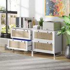 Vinsetto Meuble de Classement à 2 Tiroirs avec Serrure, Armoire de Classement Verticale avec Clés et Barre Suspendue Réglable pour Documents de Formats Lettre, A4 et Légal