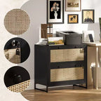 Vinsetto Meuble de Classement à 2 Tiroirs avec Serrure, Armoire de Classement Verticale avec Clés et Barre Suspendue Réglable pour Documents de Formats Lettre, A4 et Légal