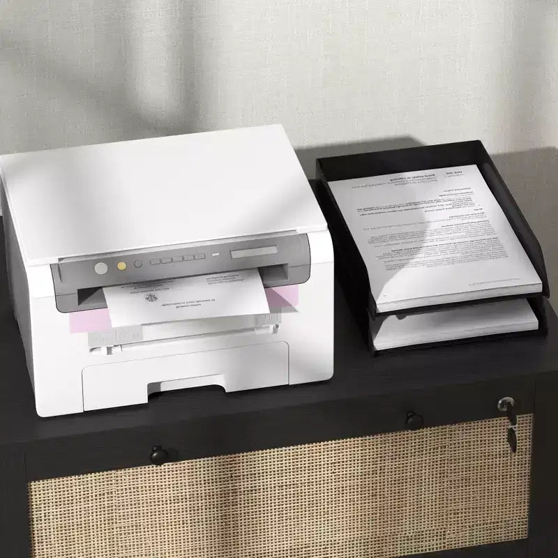 Vinsetto Meuble de Classement à 2 Tiroirs avec Serrure, Armoire de Classement Verticale avec Clés et Barre Suspendue Réglable pour Documents de Formats Lettre, A4 et Légal