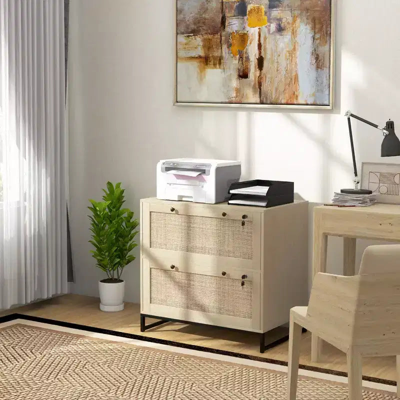 Vinsetto Meuble de Classement à 2 Tiroirs avec Serrure, Armoire de Classement Verticale avec Clés et Barre Suspendue Réglable pour Documents de Formats Lettre, A4 et Légal