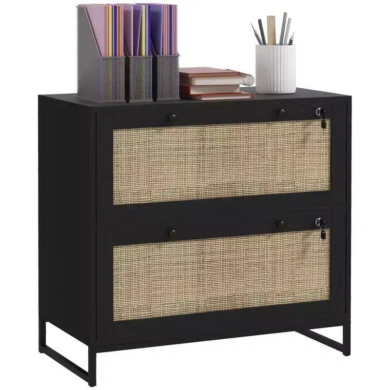 Vinsetto 2 Drawer File Cabinet with Lock, Vertical Filing Cabinet with Keys and Adjustable Hanging Bar for Letter, A4 and Legal Size
