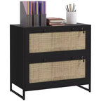 Vinsetto 2 Drawer File Cabinet with Lock, Vertical Filing Cabinet with Keys and Adjustable Hanging Bar for Letter, A4 and Legal Size