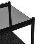 MAYEERTY Lot de 2 tables d'appoint rectangulaires avec plateau en verre trempé, pour salon, verre gris