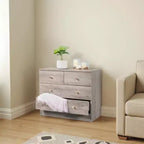 Commode à 4 tiroirs en panneau de particules gris Karl Home, 66 cm de large