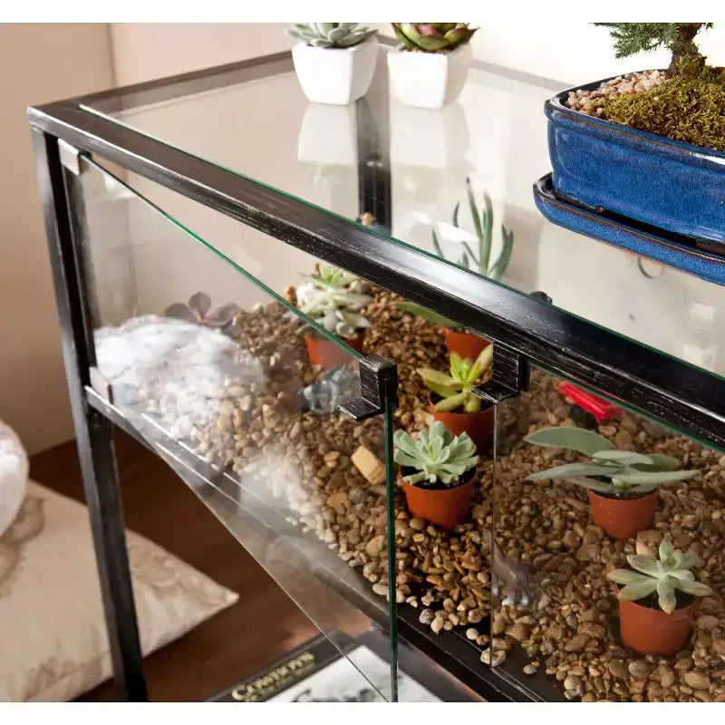 Vitrine Terrarium – Noir – SEI