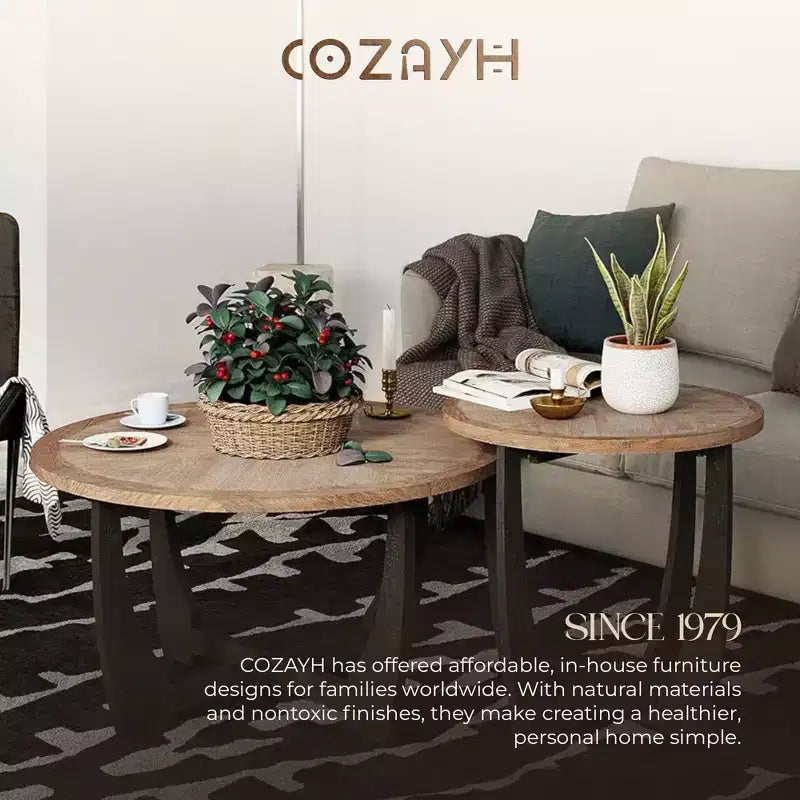 COZAYH Table d'appoint ronde rustique, étagère de rangement pour salon, lot de 2