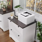 Classeur latéral 2 tiroirs en bois de 30 po. Inclut des dossiers suspendus pour documents A4/Lettre/Légal, rangement élégant pour bureau à domicile/salon.