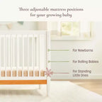 Lit de bébé convertible 4-en-1 Clover de Little Seeds