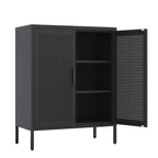 VIYET 31.5 Armoire de rangement métallique - 2 portes et 2 étagères réglables, Armoire à dossiers en acier (sans serrure), Noir