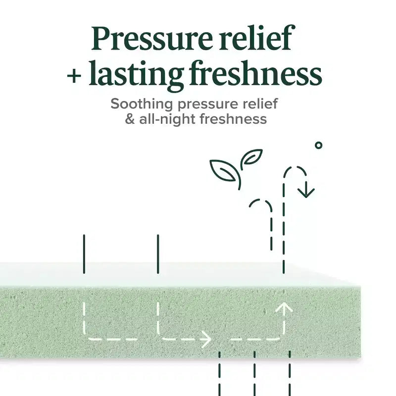 Matelas en mousse à mémoire de forme Zinus 8" Queen au thé vert, sans fibre de verre, fermeté moyenne, soulagement de la pression zoné, mousses et tissus certifiés sûrs.