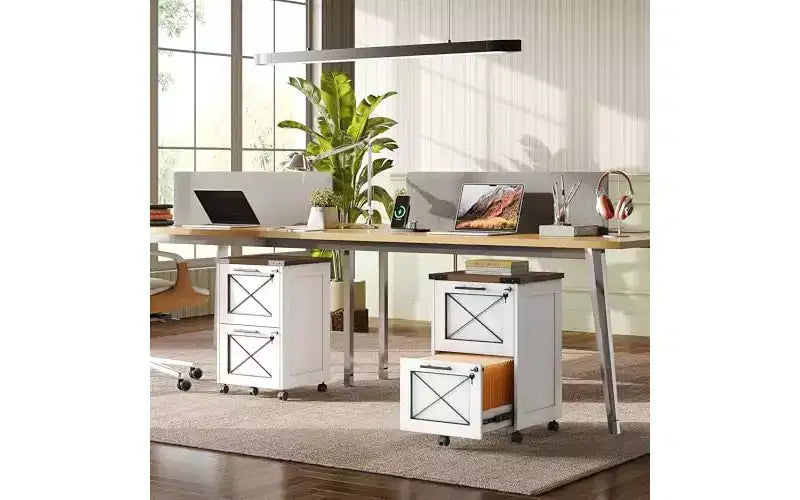 DEXYLLO Meuble Classeur à 2 Tiroirs avec Dossiers Suspendus, Meuble de Rangement Mobile à Roulettes pour Bureau à Domicile, Classeur Sous Bureau avec Serrure