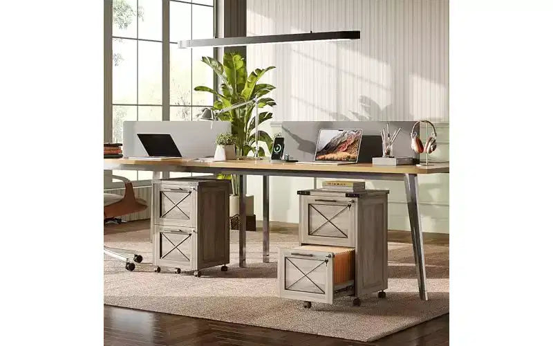 DEXYLLO Meuble Classeur à 2 Tiroirs avec Dossiers Suspendus, Meuble de Rangement Mobile à Roulettes pour Bureau à Domicile, Classeur Sous Bureau avec Serrure