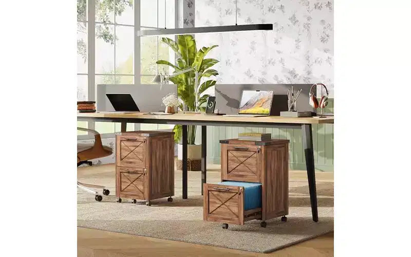 DEXYLLO Meuble Classeur à 2 Tiroirs avec Dossiers Suspendus, Meuble de Rangement Mobile à Roulettes pour Bureau à Domicile, Classeur Sous Bureau avec Serrure