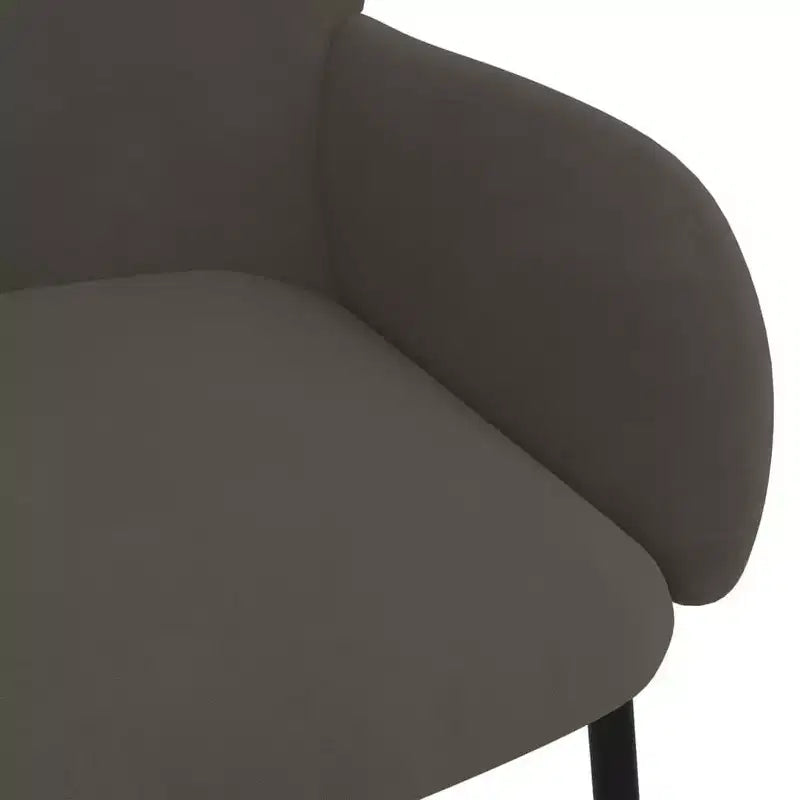 vidaXL Chaises de salle à manger, 2 pcs, gris foncé