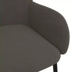 vidaXL Chaises de salle à manger, 2 pcs, gris foncé