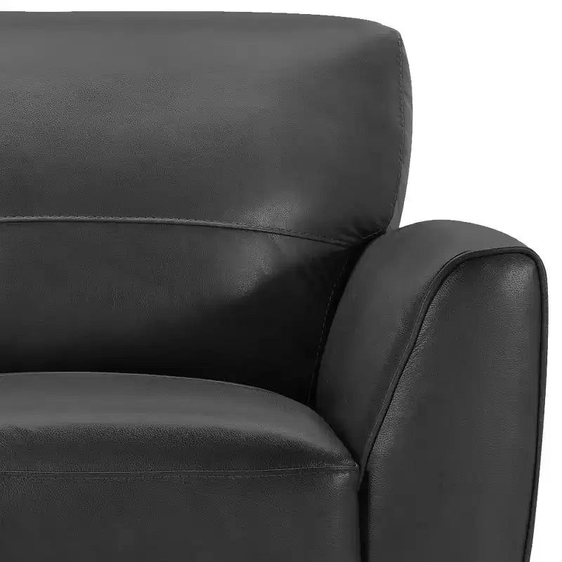 Fauteuil contemporain Jedd de Armen Living, noir : cuir véritable, mousse Dacron, pieds en bois dur, aucun assemblage requis