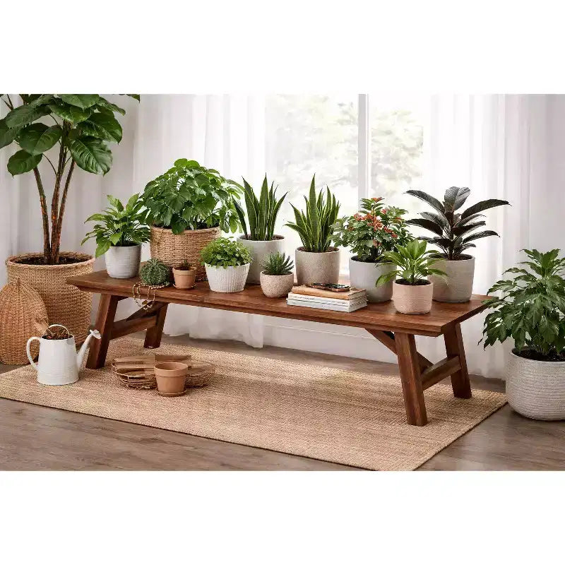 Table d'appoint pour plante Rasmus en bois d'acacia, finition brossée couleur châtaigne - Boraam : Mid-Century Modern, utilisation en intérieur uniquement