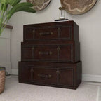 Olivia & May Coffre traditionnel en similicuir et bois marron : Rangement élégant à compartiments, aucun assemblage requis