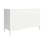 Armoire d'appoint en métal à 2 portes Shadwick de RealRooms