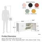 Armoire d'appoint en métal à 2 portes Shadwick de RealRooms