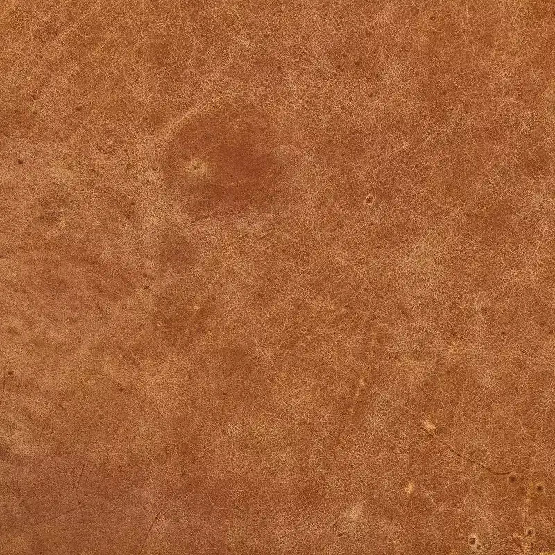 Poly & Bark Napa Ottomane