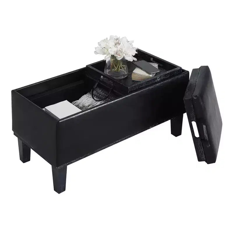 Breighton Home Designs4Comfort Ottoman de rangement Brentwood