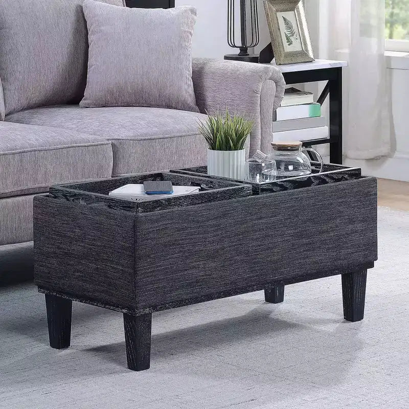 Breighton Home Designs4Comfort Ottoman de rangement Brentwood