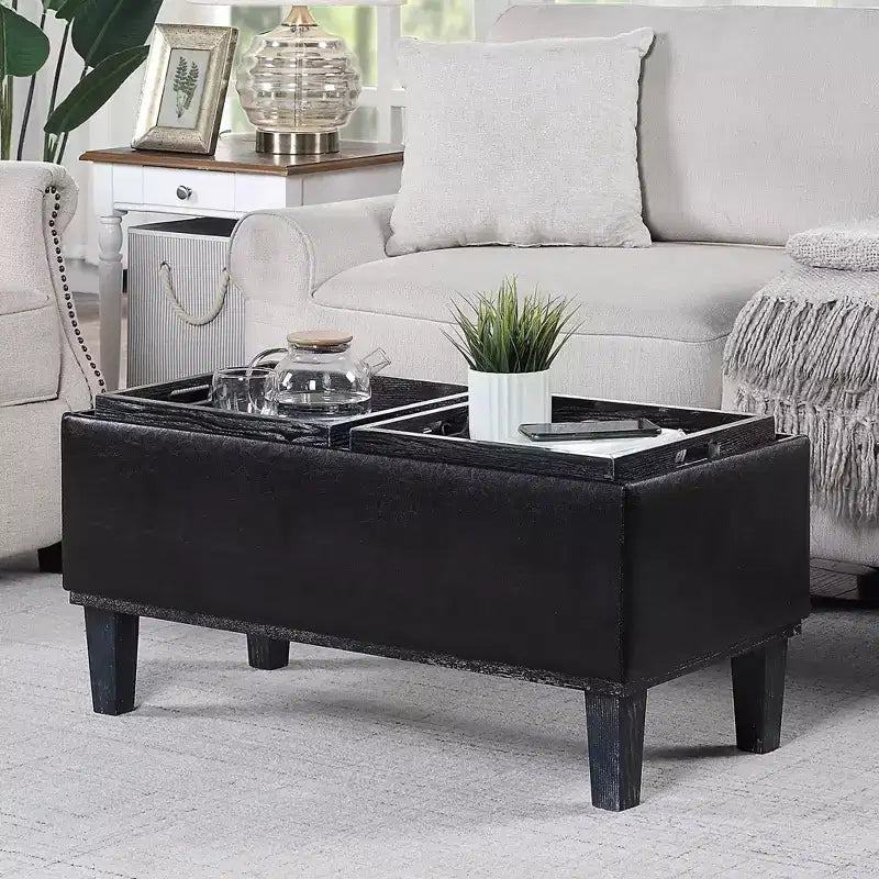 Breighton Home Designs4Comfort Ottoman de rangement Brentwood