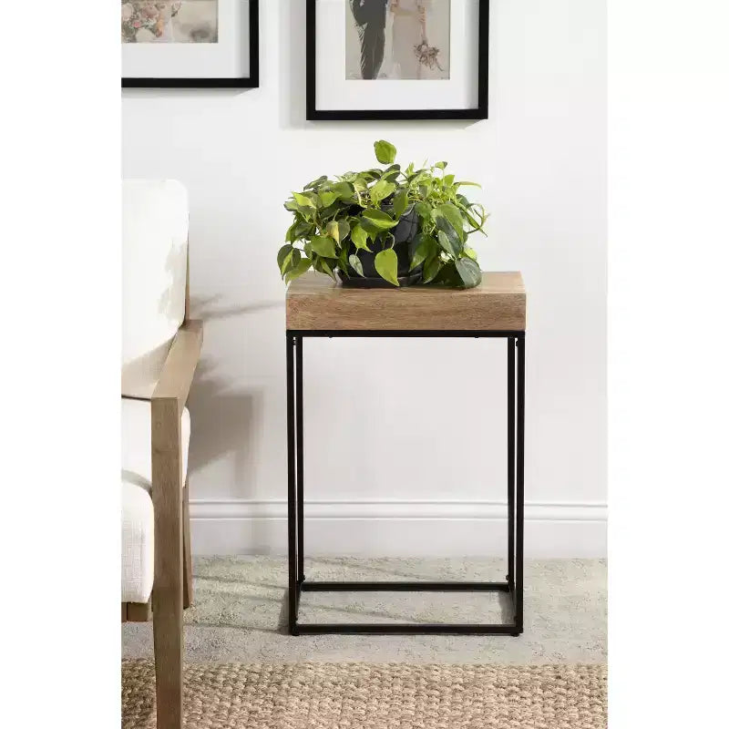 Table d'appoint fine en bois et métal Kate et Laurel Karlsen
