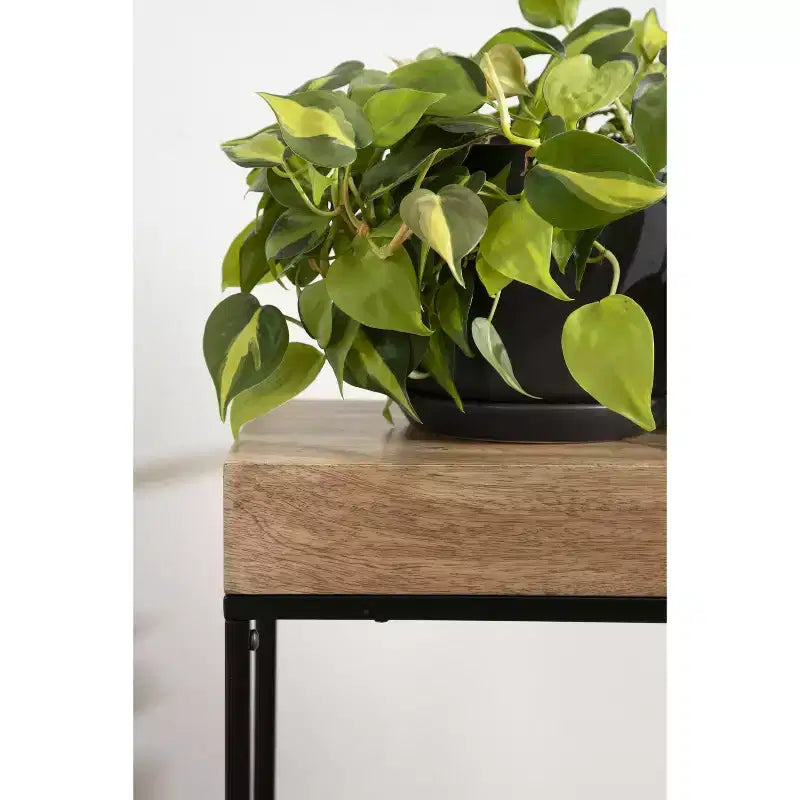 Table d'appoint fine en bois et métal Kate et Laurel Karlsen