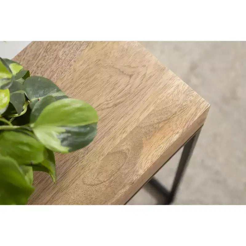Table d'appoint fine en bois et métal Kate et Laurel Karlsen