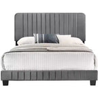 Lit King rembourré en velours Passion Furniture Lodi avec panneau touffeté