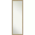 Amanti Art Paris Champagne Non-Beveled On the Door Mirror Full Length Mirror, Wall Mirror 50.25 in x 16.25 in.