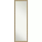 Amanti Art Paris Champagne Non-Beveled On the Door Mirror Full Length Mirror, Wall Mirror 50.25 in x 16.25 in.