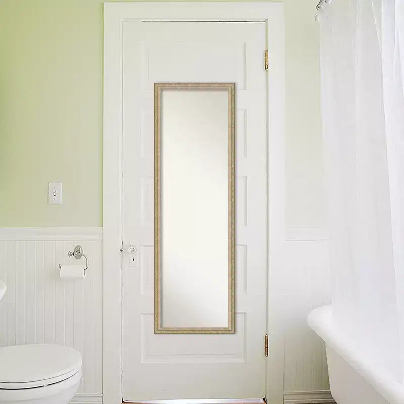 Amanti Art Paris Champagne Miroir de porte sans biseau, miroir mural pleine longueur 50,25 po x 16,25 po.