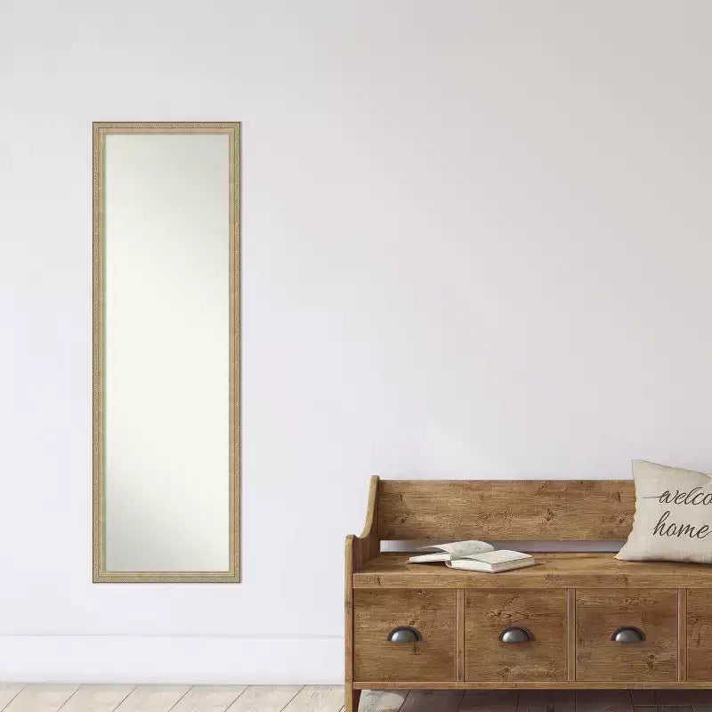 Amanti Art Paris Champagne Miroir de porte sans biseau, miroir mural pleine longueur 50,25 po x 16,25 po.