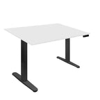 Mount-It! Electric Standing Desk with 48 Tabletop, White & Black
