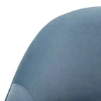 Fauteuil Dublyn Accent - ACH4001 - Safavieh