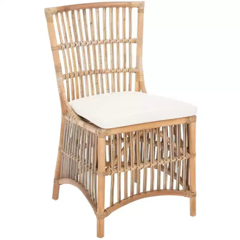 Fauteuil d'appoint Erika en rotin avec coussin - ACH6511 - Lot de 2 - Safavieh