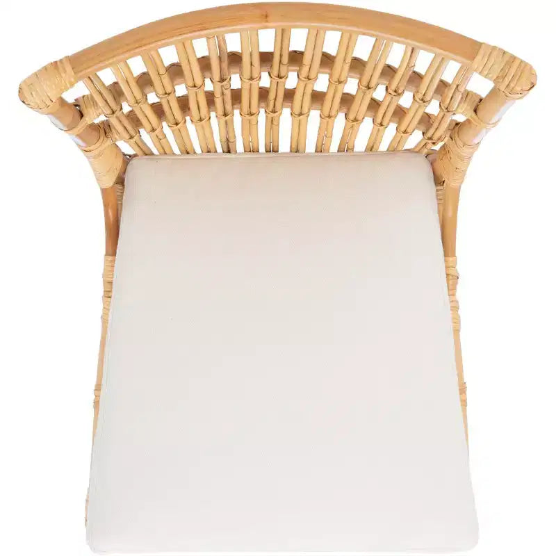 Fauteuil d'appoint Erika en rotin avec coussin - ACH6511 - Lot de 2 - Safavieh