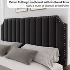 Cadre de lit plateforme Whizmax avec tête de lit de 50,2 po, recouverte de velours avec tête de lit capitonnée à rayures verticales, pas besoin de sommier tapissier