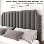 Cadre de lit plateforme Whizmax avec tête de lit de 50,2 po, recouverte de velours avec tête de lit capitonnée à rayures verticales, pas besoin de sommier tapissier