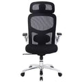 FDW Big and Tall Office Chair Home Office Chair & Sofa Desk Chair with Lumbar Support Flip UP Arms Headrest High Back Ergonomic Mesh Chair, Black